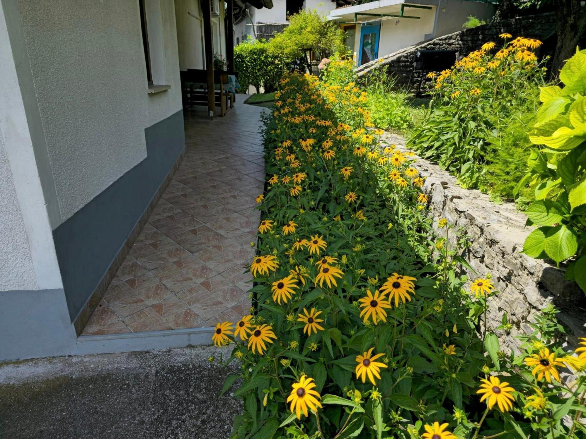 Holiday House Near The Soca River Толмин Екстер'єр фото